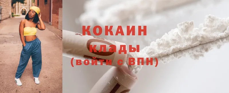 Cocaine Эквадор  купить закладку  Весьегонск 